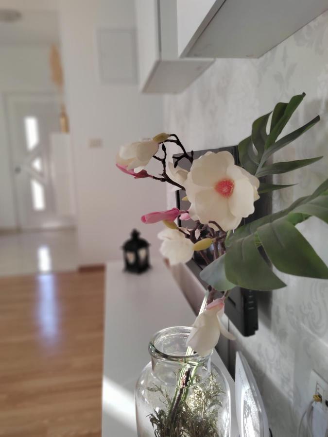 Apartments Karla I Ivano Mandre Dış mekan fotoğraf